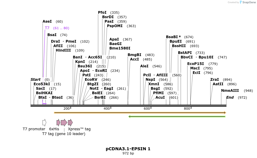 28033_map