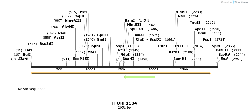 280331_map