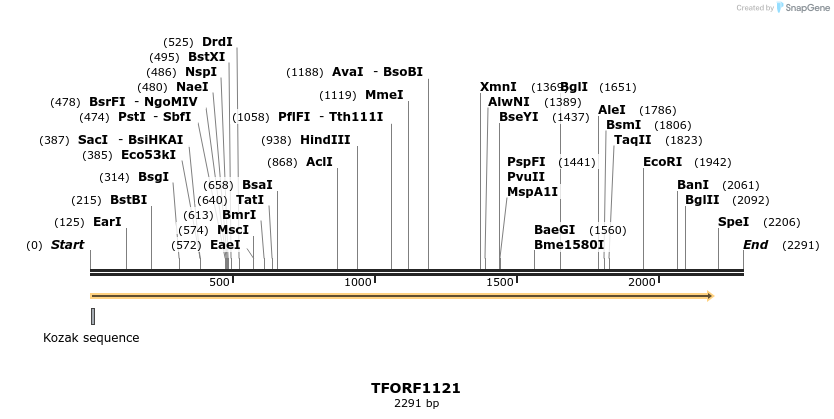 280334_map