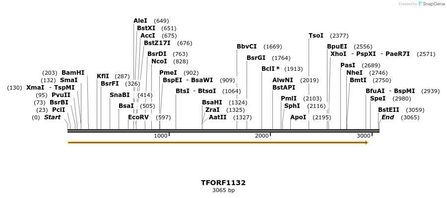 280337_map