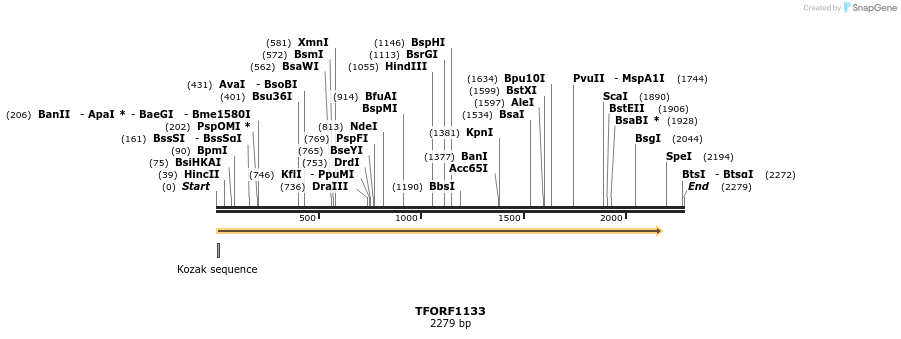 280340_map