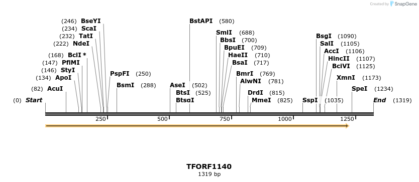 280343_map