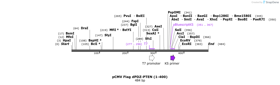 28035_map