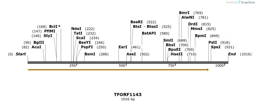 280352_map