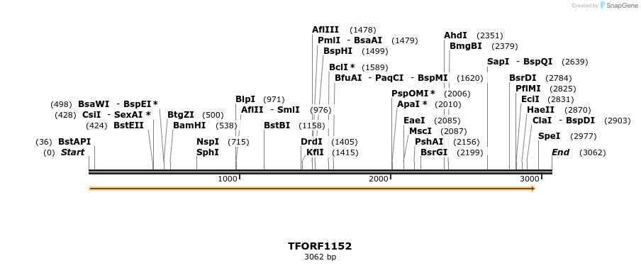 280355_map
