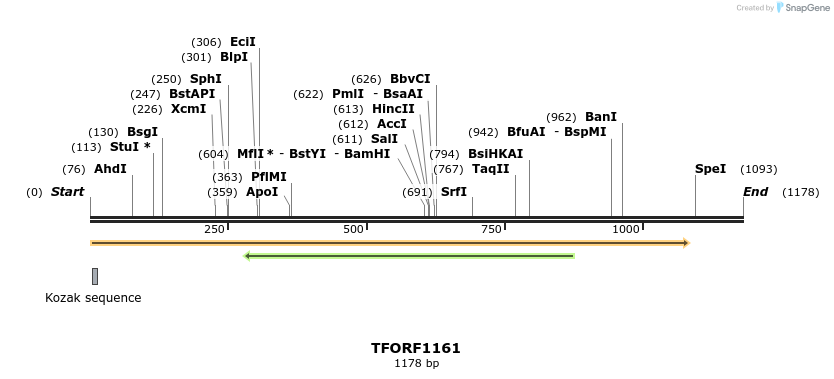 280358_map