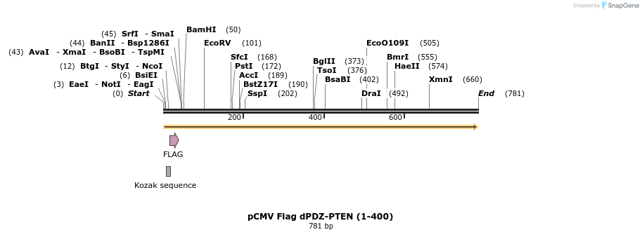 28036_map