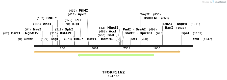 280361_map