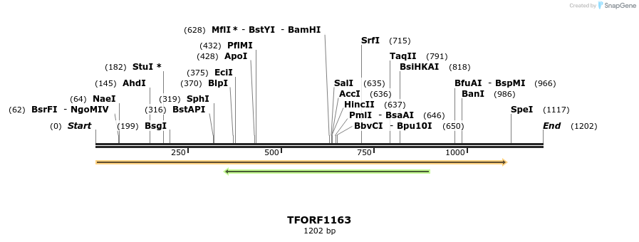 280364_map