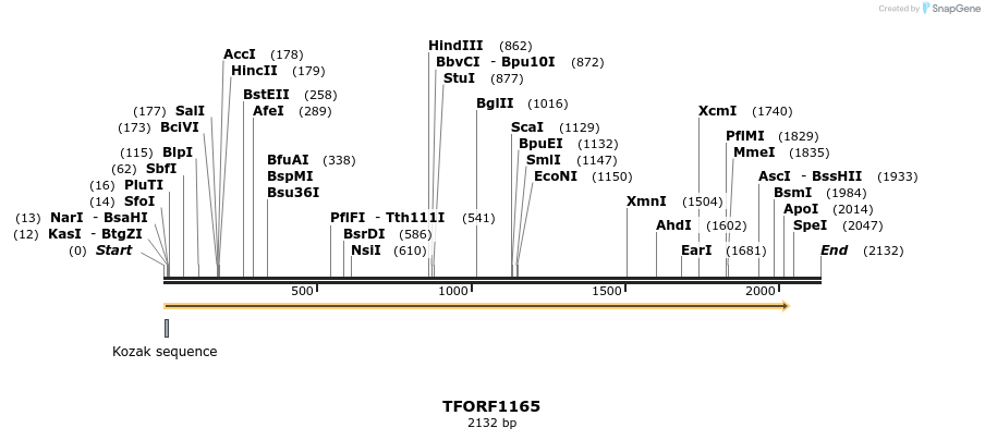 280367_map