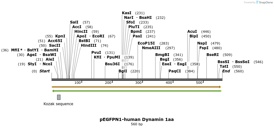 28037_map