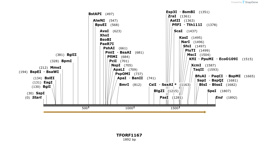 280370_map