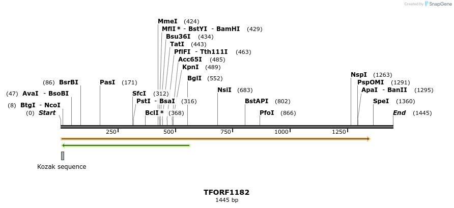 280376_map