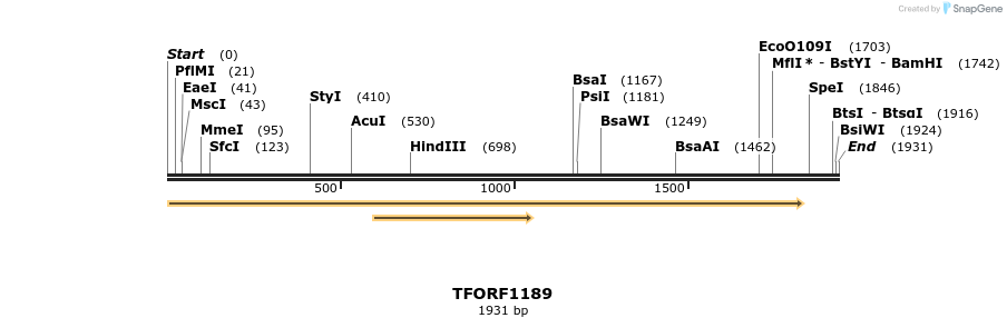 280382_map