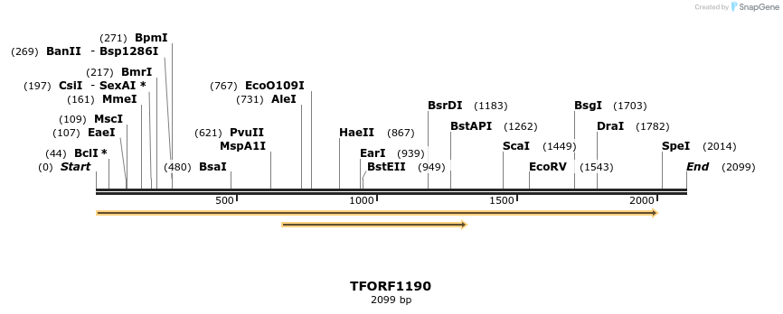 280385_map