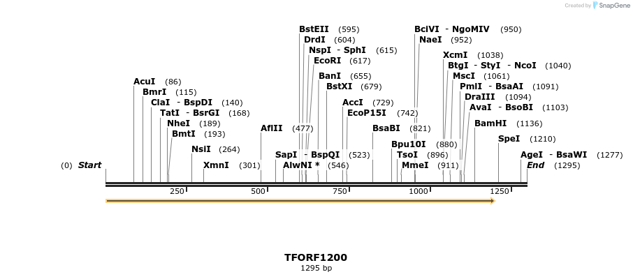 280388_map