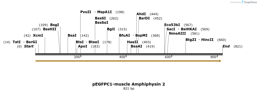 28039_map