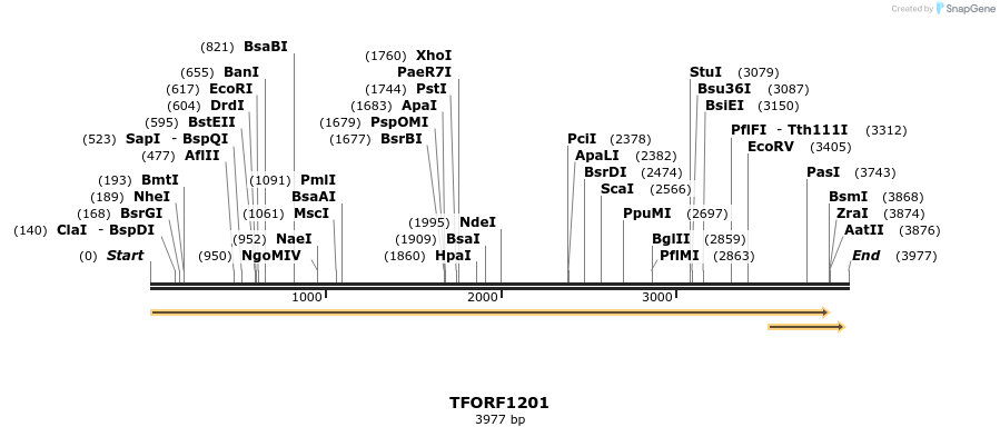 280391_map