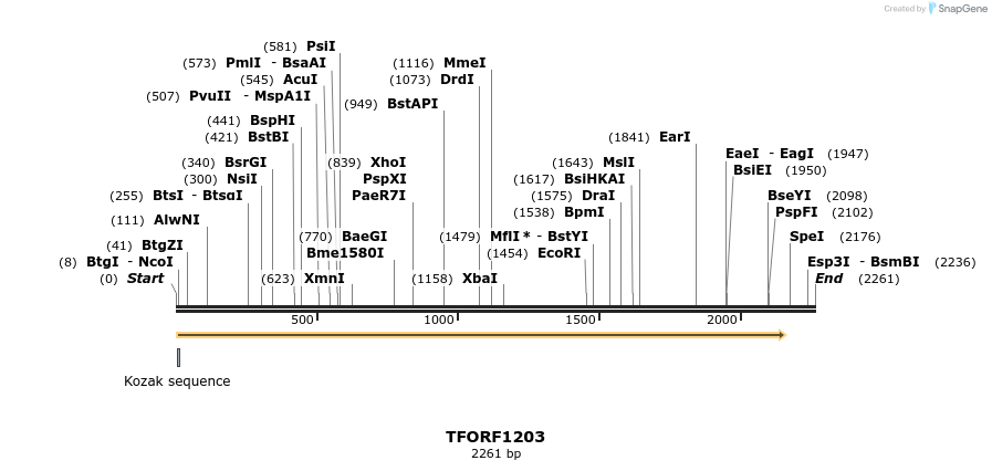 280394_map
