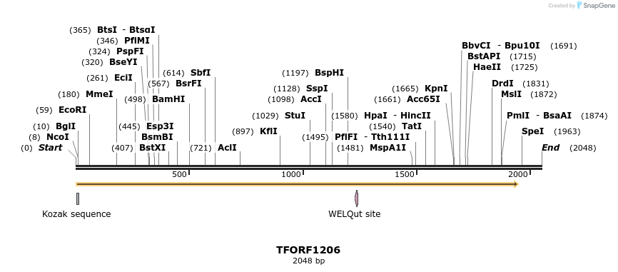 280397_map