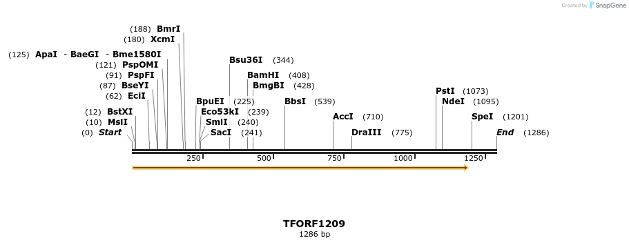 280400_map