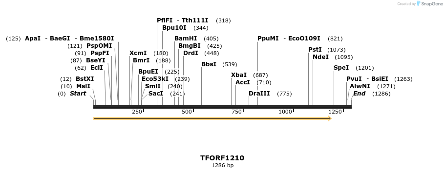 280403_map