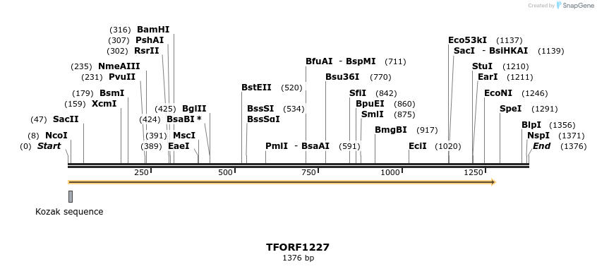 280418_map