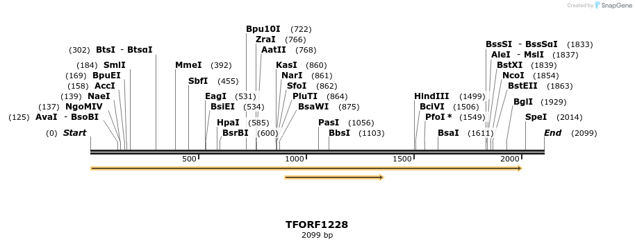 280421_map