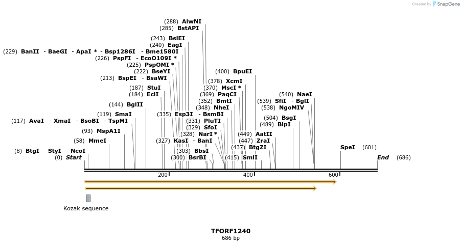 280424_map