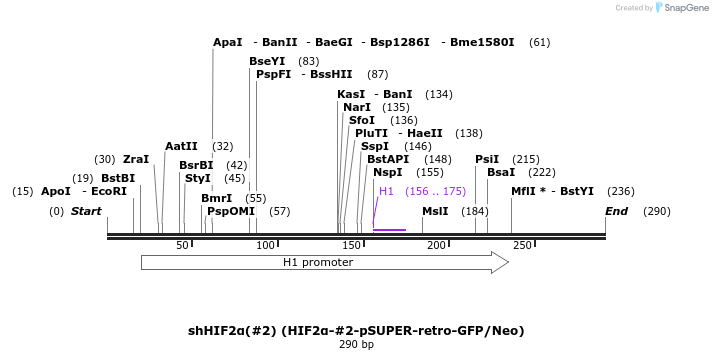 28043_map