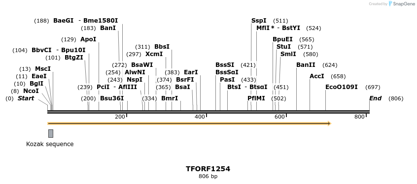 280433_map