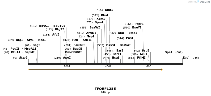 280436_map