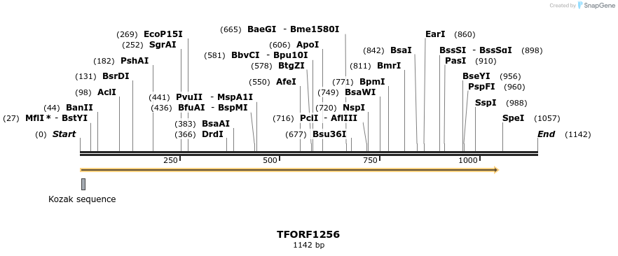 280439_map
