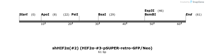 28044_map