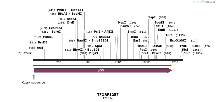280442_map