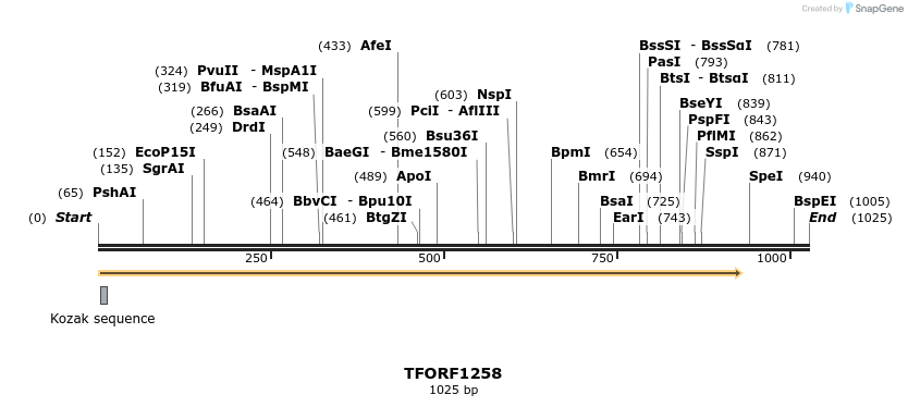 280445_map