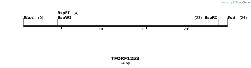 280446_map