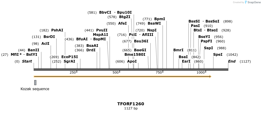 280451_map