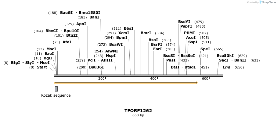 280454_map
