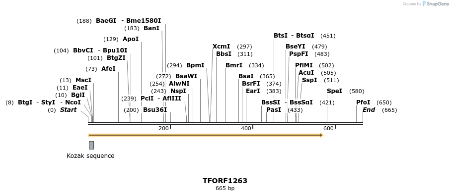 280457_map