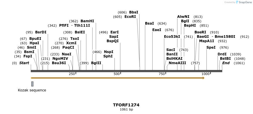 280463_map