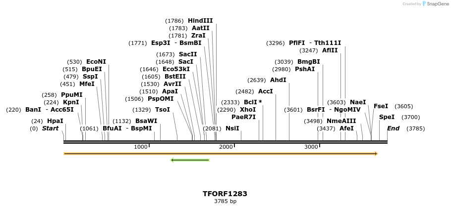 280466_map