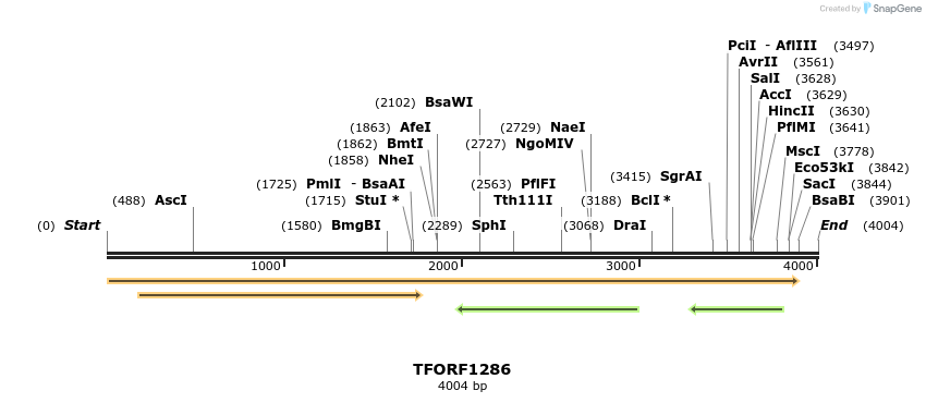 280469_map