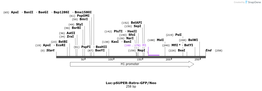 28048_map