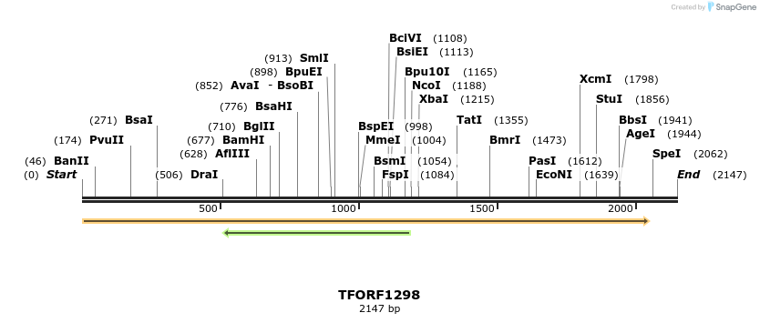 280481_map