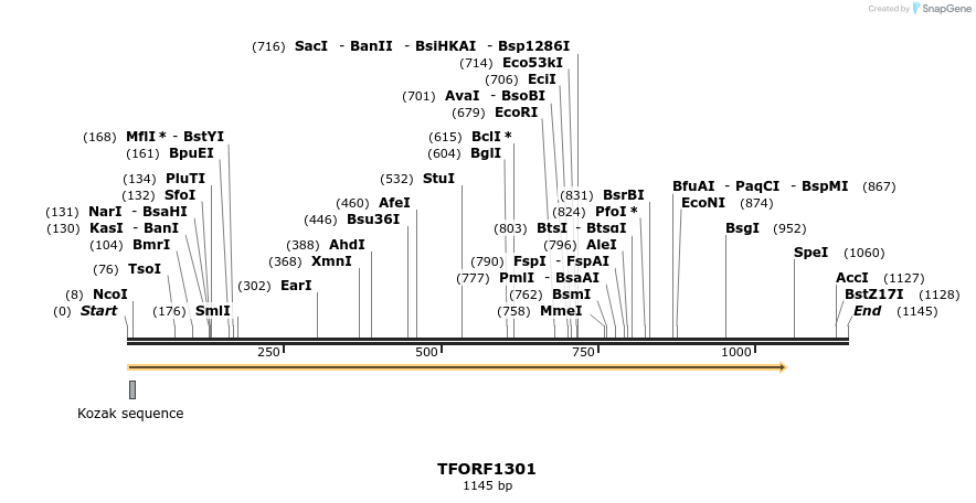 280484_map