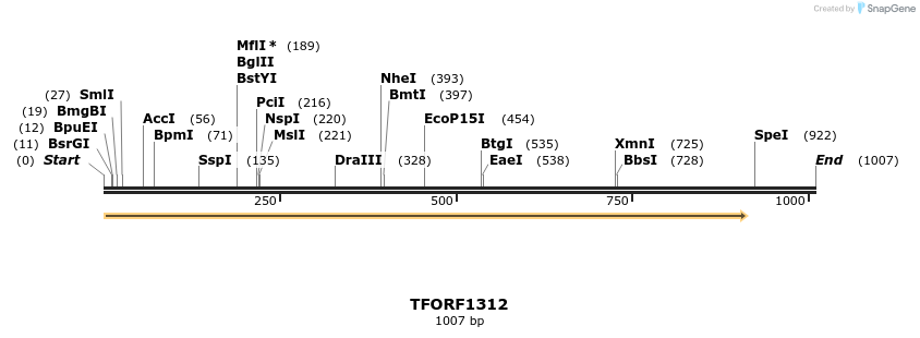 280487_map