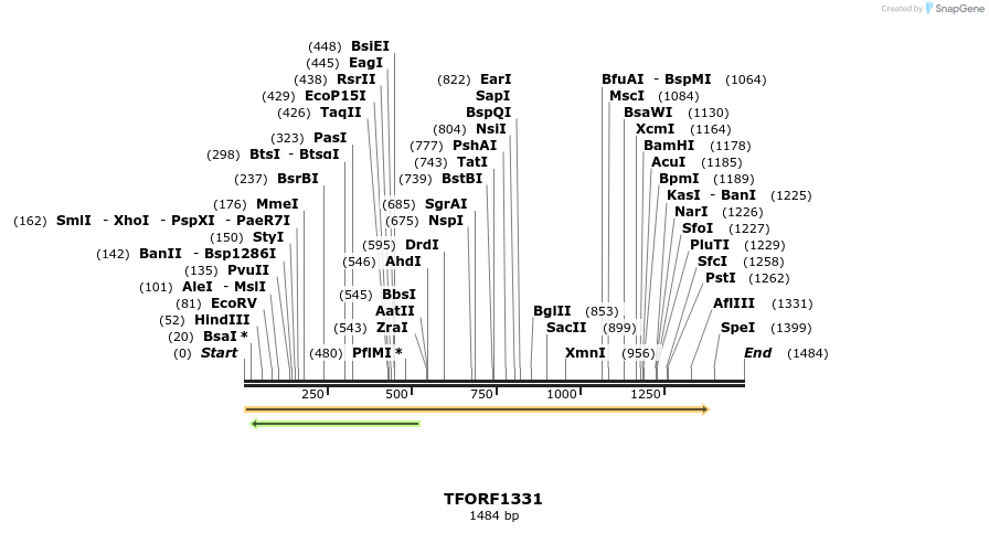 280493_map