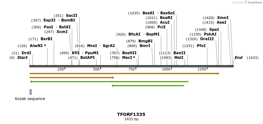 280496_map