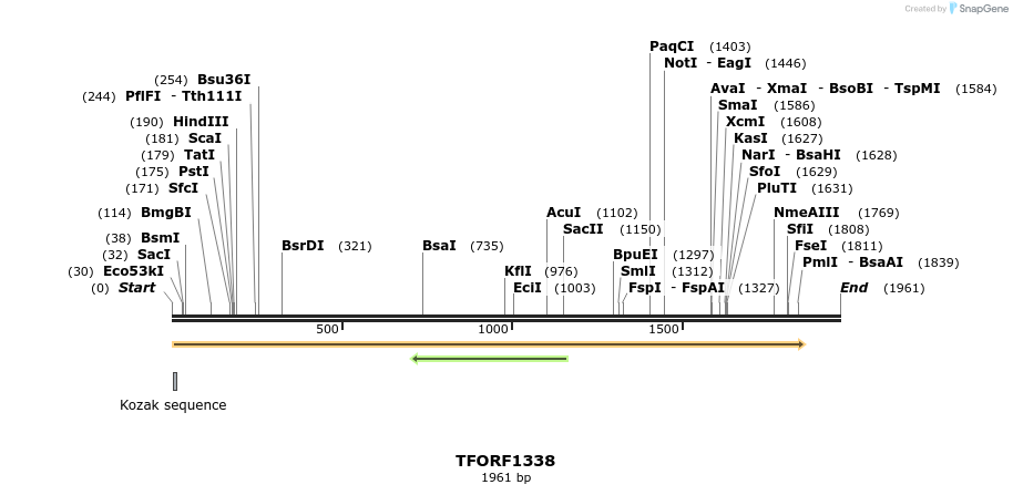280499_map
